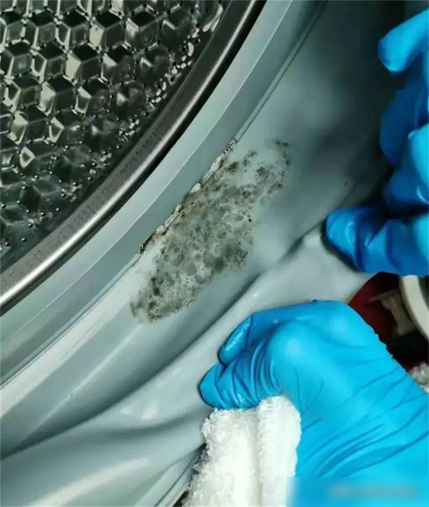 买滚筒洗衣机什么牌子好_洗衣机千万别买滚筒_洗衣机买滚筒的好吗